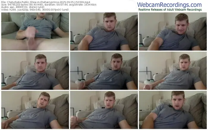 2025/09/05/chaturbate-thehairyprince-15-03-39