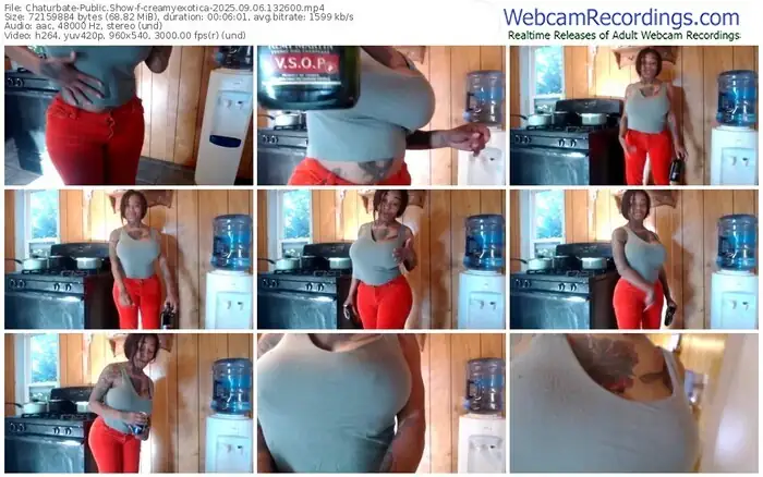 2025/09/06/chaturbate-creamyexotica-13-26-00