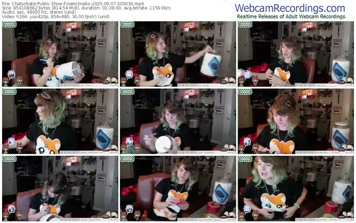 2025/09/07/chaturbate-nami3neko-00-36-30