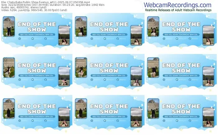 2025/09/07/chaturbate-venus_art11-05-03-58