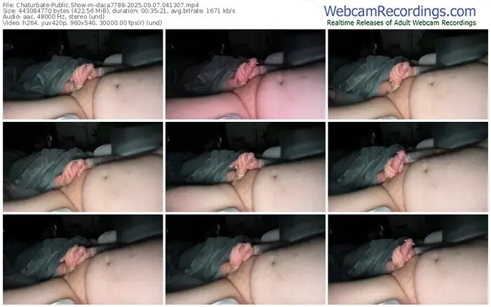 2025/09/07/chaturbate-daca7788-04-13-07