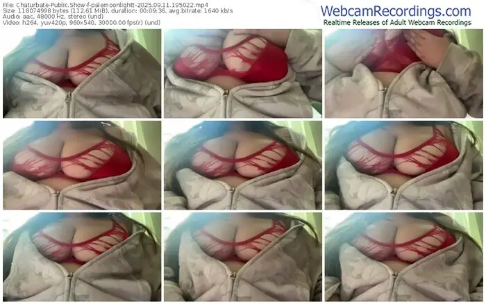 2025/09/11/chaturbate-palemoonlightt-19-50-22