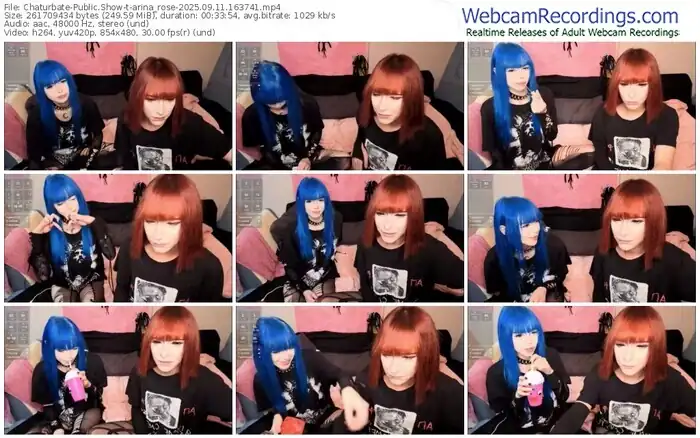 2025/09/11/chaturbate-arina_rose-16-37-41