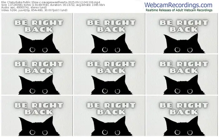 2025/09/12/chaturbate-savagesweethearts-04-11-06