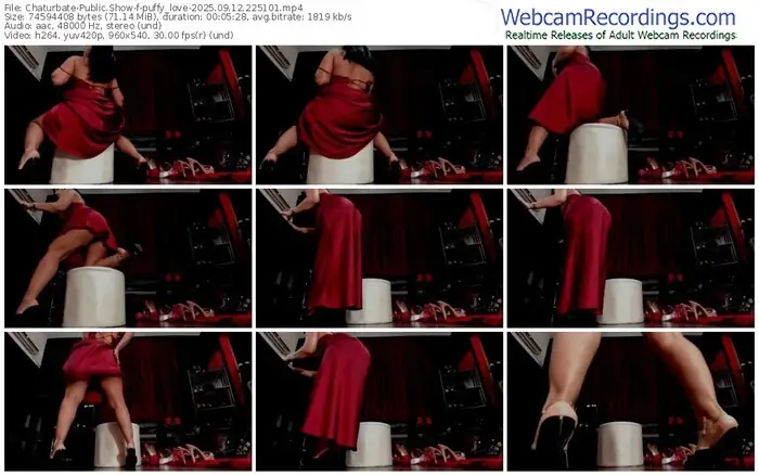 2025/09/12/chaturbate-puffy_love-22-51-01