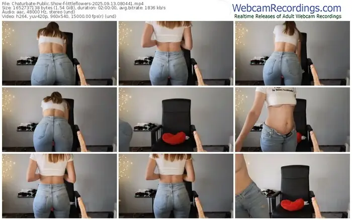 2025/09/13/chaturbate-littleflowers-08-04-41