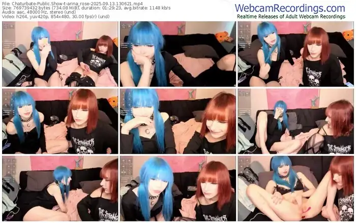 2025/09/13/chaturbate-arina_rose-13-06-21
