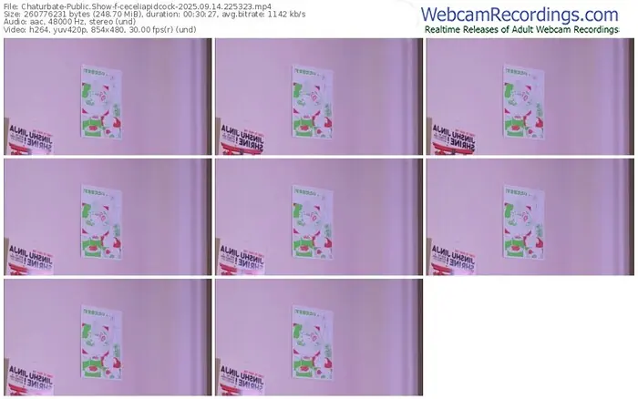 2025/09/14/chaturbate-ceceliapidcock-22-53-23