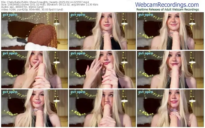 2025/09/14/chaturbate-naughty_tweety-22-55-57
