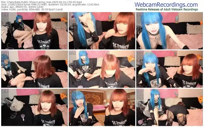 2025/09/14/chaturbate-arina_rose-17-01-43