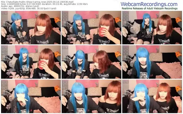 2025/09/14/chaturbate-arina_rose-19-06-36