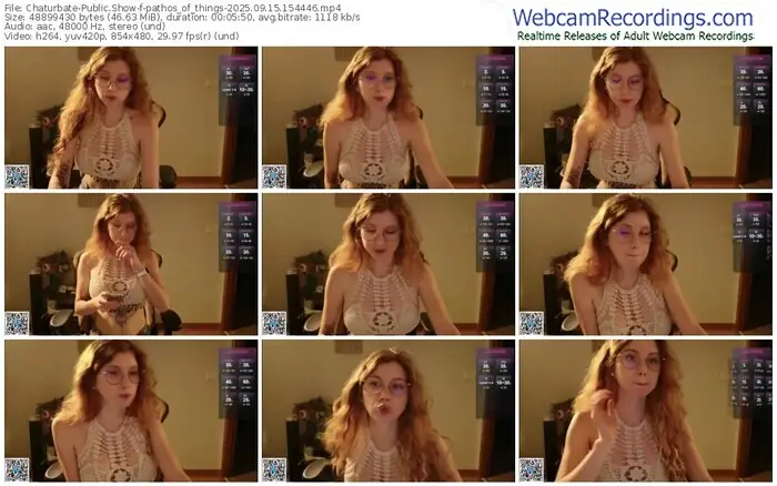 2025/09/15/chaturbate-pathos_of_things-15-44-46