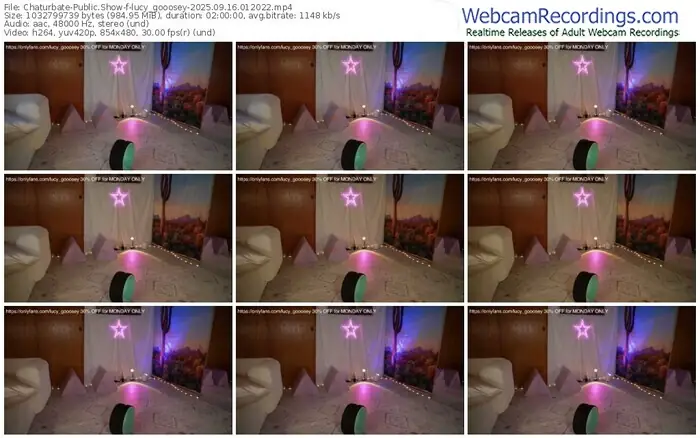 2025/09/16/chaturbate-lucy_gooosey-01-20-22