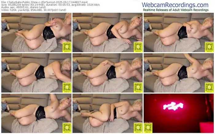 2025/09/17/chaturbate-2for5uncut-04-48-27