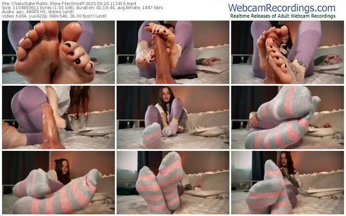 2025/09/20/chaturbate-technoelf-11-24-16