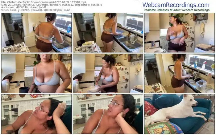 2025/09/24/chaturbate-dreamyriri-17-23-18