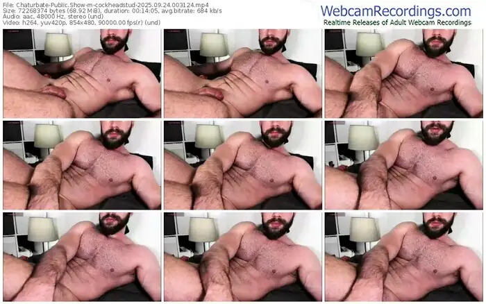 2025/09/24/chaturbate-cockheadstud-00-31-24