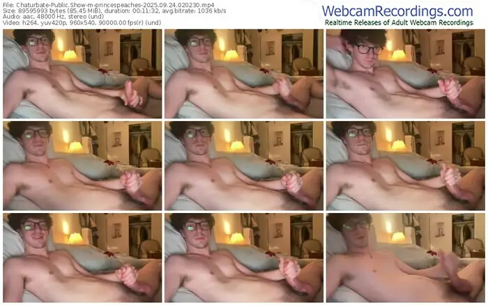 2025/09/24/chaturbate-princespeaches-02-02-30