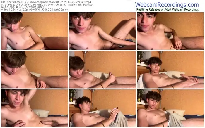 2025/09/25/chaturbate-dimamozaev400-22-46-43