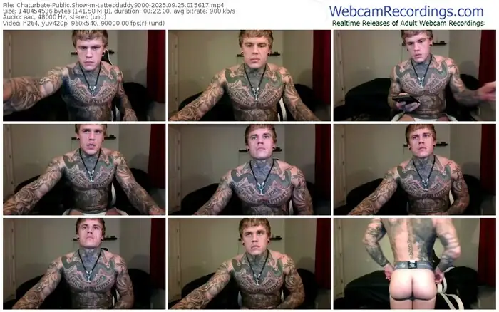 2025/09/25/chaturbate-tatteddaddy9000-01-56-17