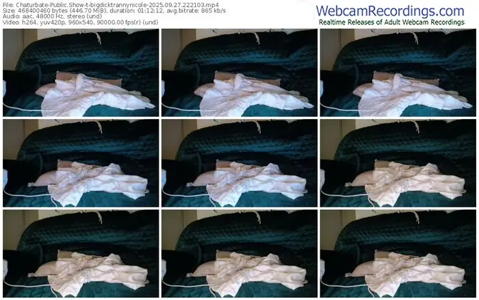 2025/09/27/chaturbate-bigdicktrannynicole-22-21-03