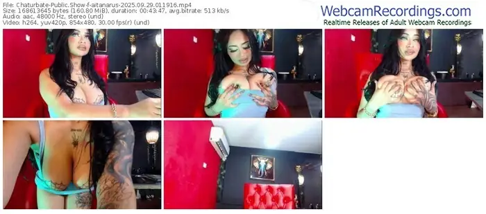 2025/09/29/chaturbate-aitanarus-01-19-16