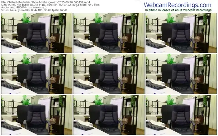 2025/09/30/chaturbate-babesgowild-06-54-39