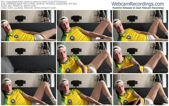 2025/10/01/chaturbate-alexwos-07-52-39
