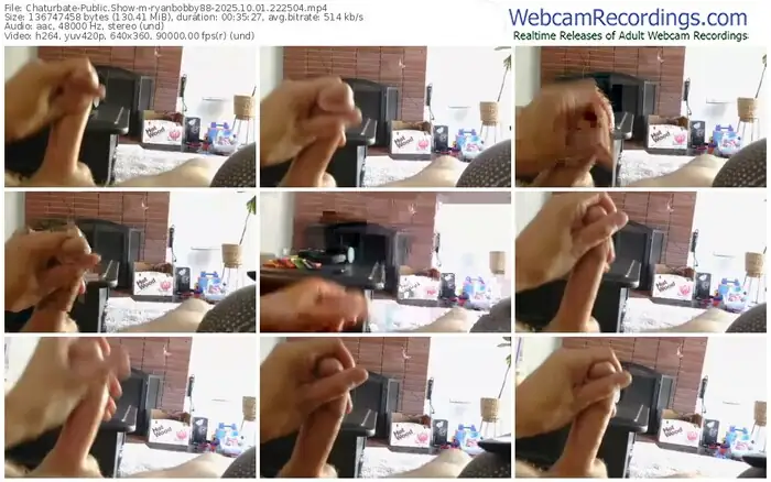 2025/10/01/chaturbate-ryanbobby88-22-25-04