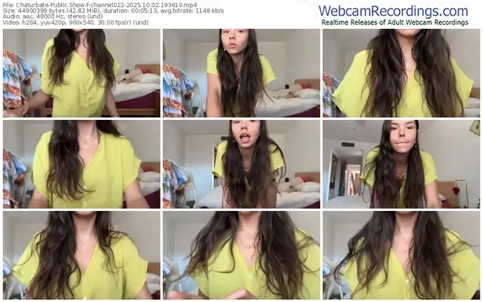 2025/10/02/chaturbate-channel022-19-36-19