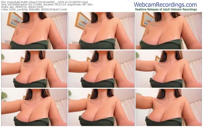 2025/10/02/chaturbate-christine0990__-08-07-07