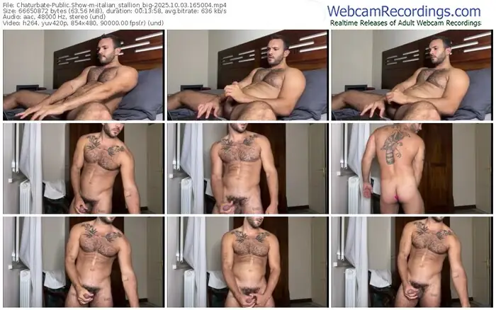 2025/10/03/chaturbate-italian_stallion_big-16-50-04