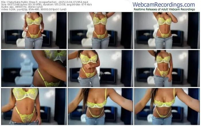 2025/10/04/chaturbate-_missperfection_-07-29-54