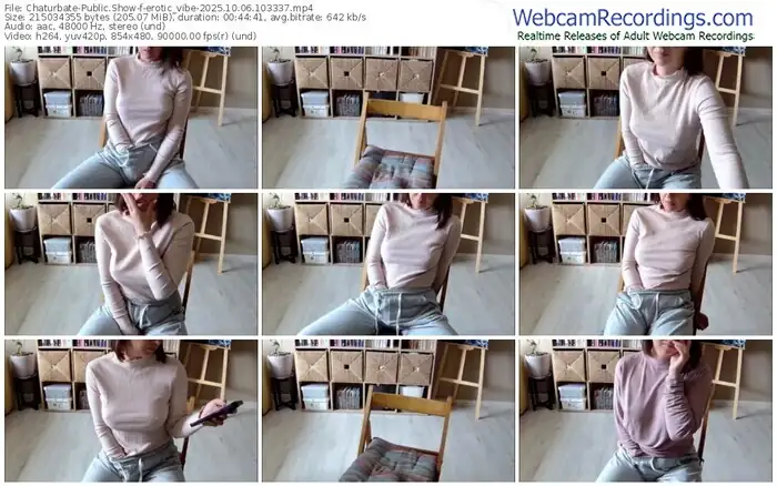 2025/10/06/chaturbate-erotic_vibe-10-33-37