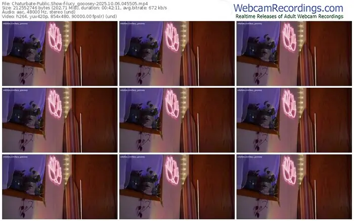 2025/10/06/chaturbate-lucy_gooosey-04-55-05