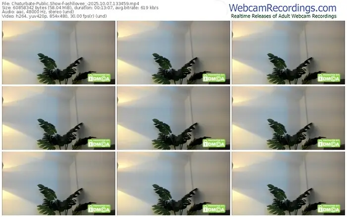 2025/10/07/chaturbate-ashllovee_-13-34-59