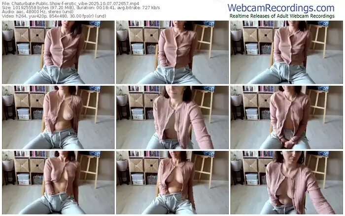 2025/10/07/chaturbate-erotic_vibe-07-26-57