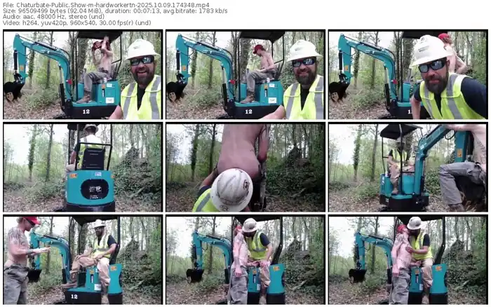 2025/10/09/chaturbate-hardworkertn-17-43-48
