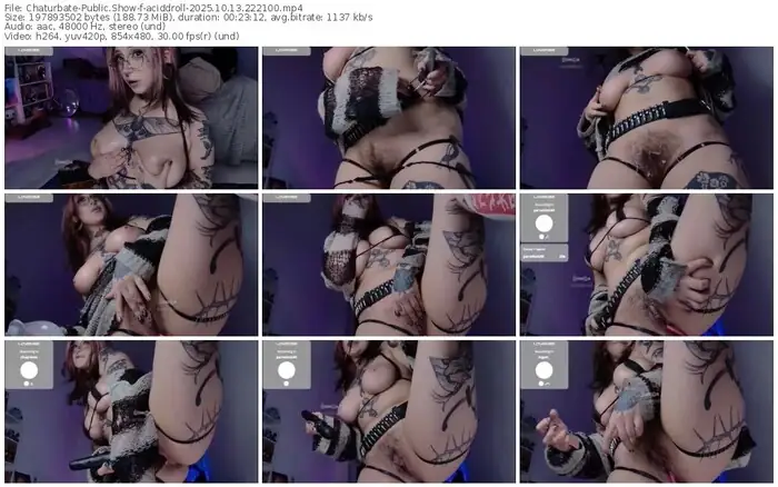 2025/10/13/chaturbate-aciddroll-22-21-00