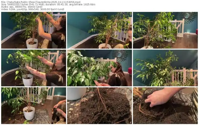 2025/10/13/chaturbate-laurenbrite-15-30-56