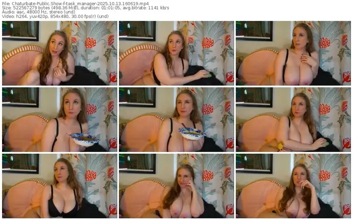 2025/10/13/chaturbate-task_manager-16-06-19