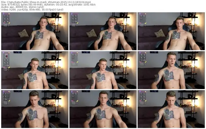 2025/10/13/chaturbate-mark_shturman-18-31-04