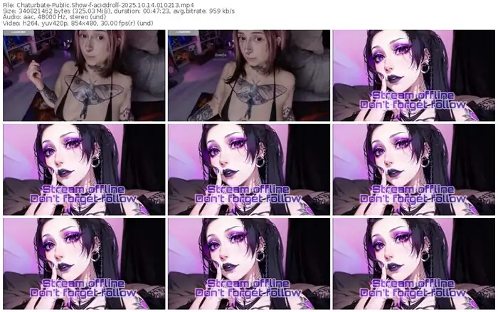 2025/10/14/chaturbate-aciddroll-01-02-13