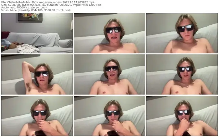 2025/10/14/chaturbate-gavinnumbers-02-58-32