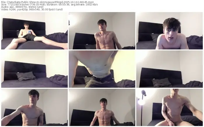 2025/10/14/chaturbate-skinnyguywithbigd-14-41-45