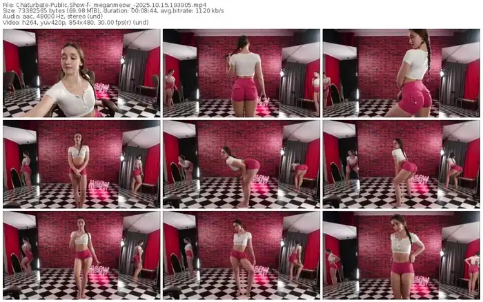 2025/10/15/chaturbate-_meganmeow_-19-39-05