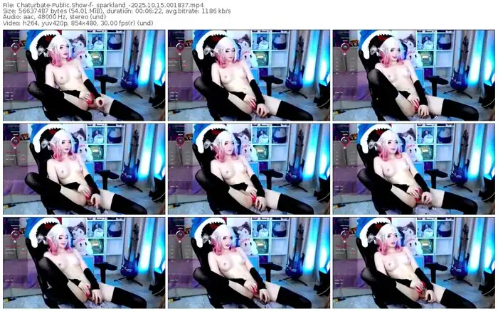 2025/10/15/chaturbate-_sparkland_-00-18-37