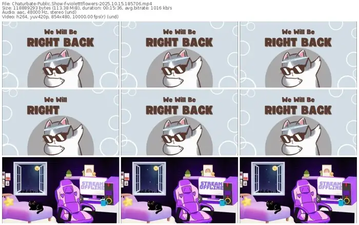 2025/10/15/chaturbate-violetttflowers-18-57-06