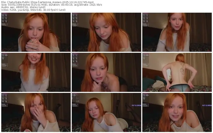 2025/10/16/chaturbate-artemisa_meows-22-17-45