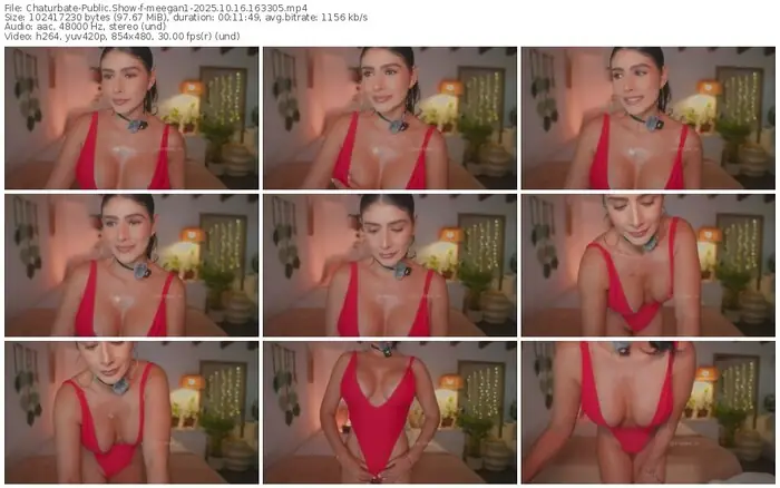 2025/10/16/chaturbate-meegan1-16-33-05